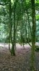 WP_20160720_12_46_54_Pro.jpg