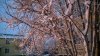 Клуб Ниссан Террано | Форум Terrano-Club.Ru | Фото: WP_20161028_06_38_46_Pro[1].jpg