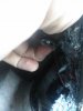 IMG_20161028_144146.jpg