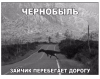 Клуб Ниссан Террано | Форум Terrano-Club.Ru | Фото: 1.png