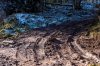Клуб Ниссан Террано | Форум Terrano-Club.Ru | Фото: На Дженту (8)_Т.jpg