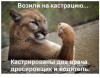 Клуб Ниссан Террано | Форум Terrano-Club.Ru | Фото: 1.png