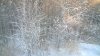 WP_20161114_13_02_27_Pro.jpg