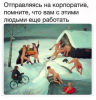 Клуб Ниссан Террано | Форум Terrano-Club.Ru | Фото: 1.png