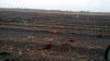 IMG-20160922-WA0000.jpeg