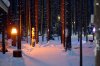 Клуб Ниссан Террано | Форум Terrano-Club.Ru | Фото: IMG_0830.JPG