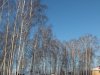 Клуб Ниссан Террано | Форум Terrano-Club.Ru | Фото: DSCF7671.JPG