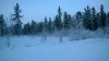 Клуб Ниссан Террано | Форум Terrano-Club.Ru | Фото: WP_20170203_15_49_46_Pro.jpg