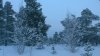 Клуб Ниссан Террано | Форум Terrano-Club.Ru | Фото: WP_20170203_15_46_16_Pro.jpg