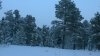 Клуб Ниссан Террано | Форум Terrano-Club.Ru | Фото: WP_20170203_15_46_03_Pro.jpg