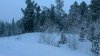 Клуб Ниссан Террано | Форум Terrano-Club.Ru | Фото: WP_20170203_15_45_51_Pro.jpg