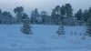 Клуб Ниссан Террано | Форум Terrano-Club.Ru | Фото: WP_20170203_15_45_43_Pro.jpg