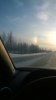 WP_20170212_14_24_31_Pro.jpg