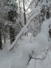 Клуб Ниссан Террано | Форум Terrano-Club.Ru | Фото: 2017-03-07 10.32.42.jpg