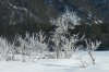 Клуб Ниссан Террано | Форум Terrano-Club.Ru | Фото: DSCF8674.JPG