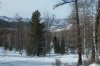 Клуб Ниссан Террано | Форум Terrano-Club.Ru | Фото: DSCF8989.JPG