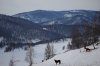 Клуб Ниссан Террано | Форум Terrano-Club.Ru | Фото: IMG_4955.JPG