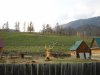Клуб Ниссан Террано | Форум Terrano-Club.Ru | Фото: IMG_6854.JPG