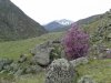 Клуб Ниссан Террано | Форум Terrano-Club.Ru | Фото: 20170501_153320.jpg
