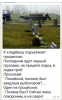 Клуб Ниссан Террано | Форум Terrano-Club.Ru | Фото: upload_2017-6-29_22-5-15.png