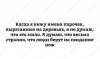 Клуб Ниссан Террано | Форум Terrano-Club.Ru | Фото: 19577417_1353673648061814_4823000467885215429_o.jpg