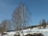 DSCF2425_1.jpg