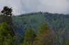Клуб Ниссан Террано | Форум Terrano-Club.Ru | Фото: DSC06008_Snapseed.jpg