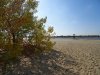 Клуб Ниссан Террано | Форум Terrano-Club.Ru | Фото: DSC052570.jpg