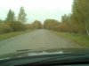 Лес дорога.jpg