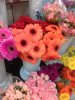 20171014_174524.jpg