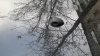 20171101_141153.jpg