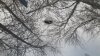 20171101_141217.jpg