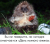 Клуб Ниссан Террано | Форум Terrano-Club.Ru | Фото: Скриншот 28-11-2017 162647.png