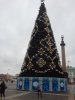 20171203_122403.jpg