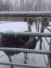 20171210_154156.jpg