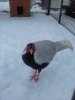 20171210_153443.jpg