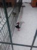 20171210_153139.jpg
