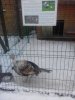 20171210_153012.jpg