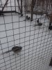 20171210_152916.jpg