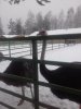 20171210_145737.jpg