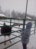 20171210_145705.jpg