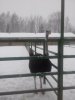 20171210_145654.jpg