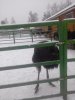 20171210_145513.jpg