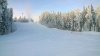WP_20171119_10_38_59_Pro.jpg