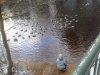 20180107_144618.jpg