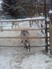 20180114_122729.jpg