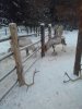 20180114_123324.jpg
