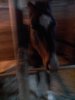 20180114_125017.jpg