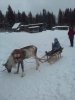 20180114_125921.jpg