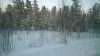 Клуб Ниссан Террано | Форум Terrano-Club.Ru | Фото: WP_20180119_09_10_15_Pro.jpg